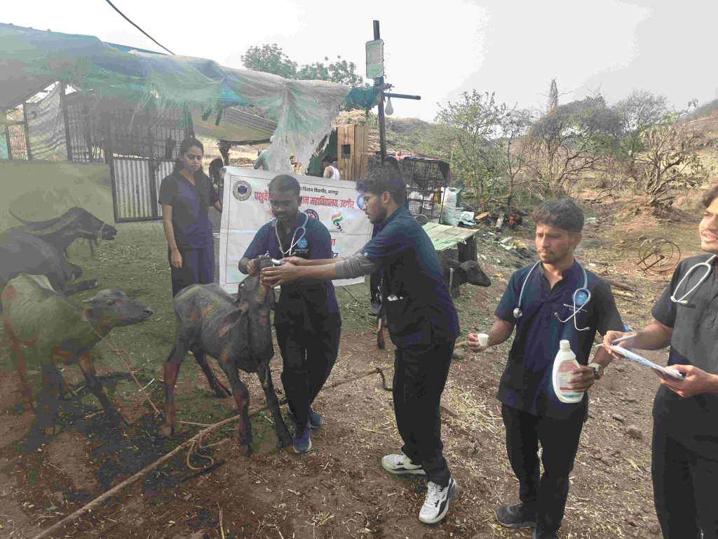 10. Animal Health Camp